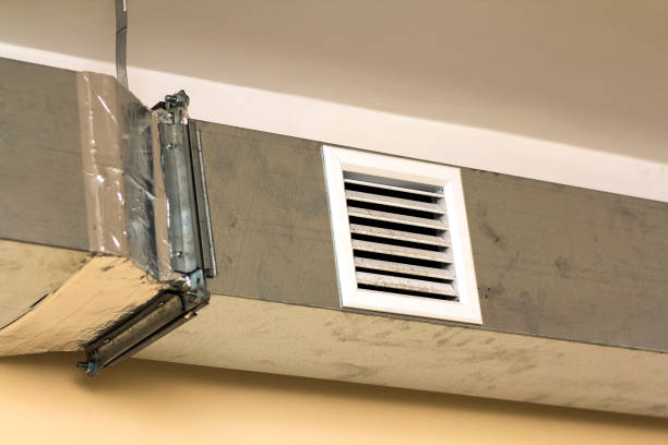 Best Air Duct Mold Removal  in Palo Alto, CA